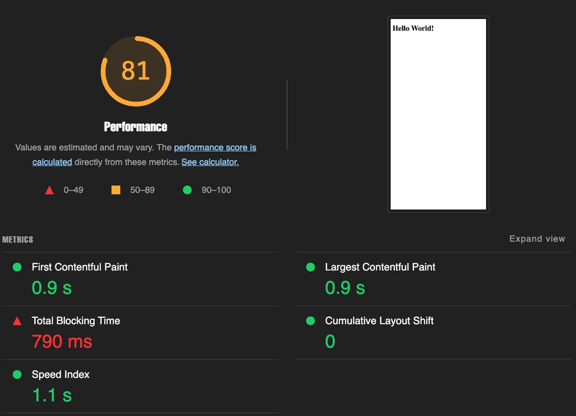 Lighthouse report for the dummy app scoring 81 in orange for Performance, with First Contentful Paint 0.9 s, Largest Contentful Paint 0.9 s, Speed Index 1.1 s and Cumulative Layout Shift 0 all green, and Total Blocking Time 790 ms flagged red